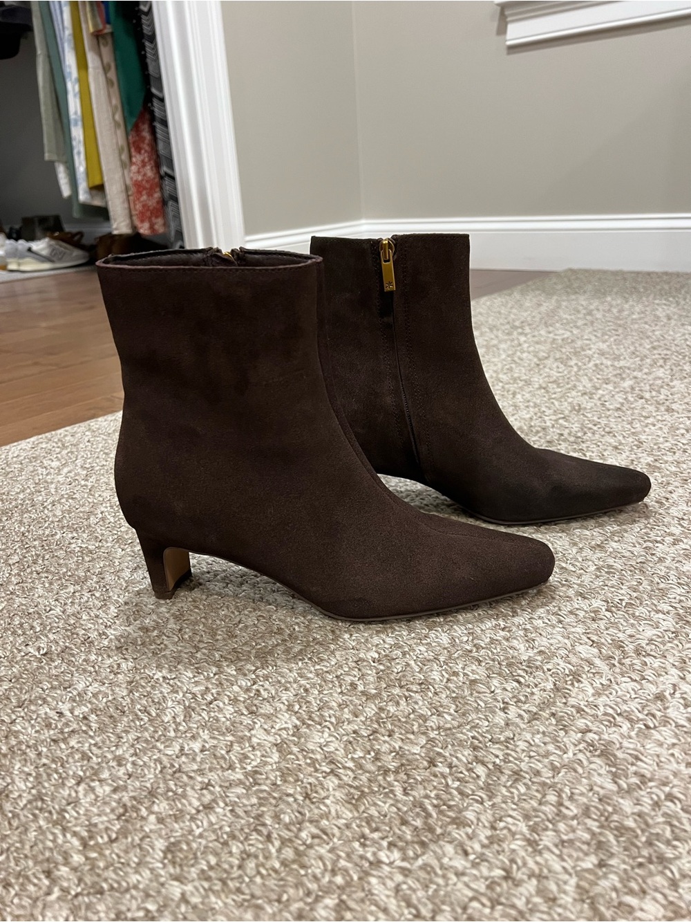 Splendid Chocolate Brown Suede Ankle Boots